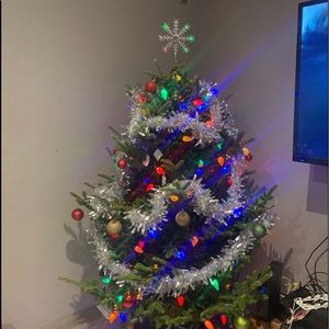 Meet your Posher, Josie